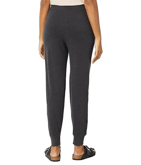 https://images.styletyx.com/images/airplane-jogger-in-organic-cotton-interlock-pact-2396928_2.webp