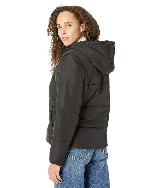 https://images.styletyx.com/images/basic-puffer-jacket-u-s-polo-assn-3049558_2.webp