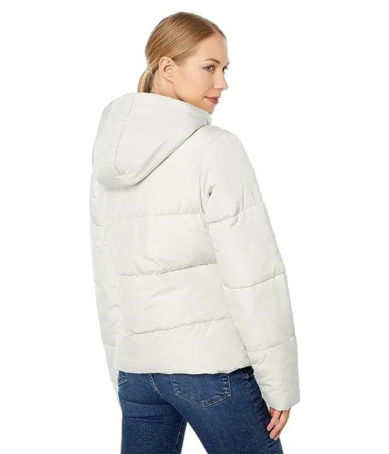 https://images.styletyx.com/images/basic-puffer-jacket-u-s-polo-assn-3049566_2.webp