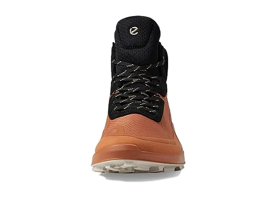 https://images.styletyx.com/images/biom-2-1-gore-tex-r-mid-ecco-13269535_2.webp
