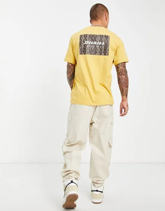 https://images.styletyx.com/images/camden-back-print-t-shirt-in-light-yellow-dickies-13036433_2.webp