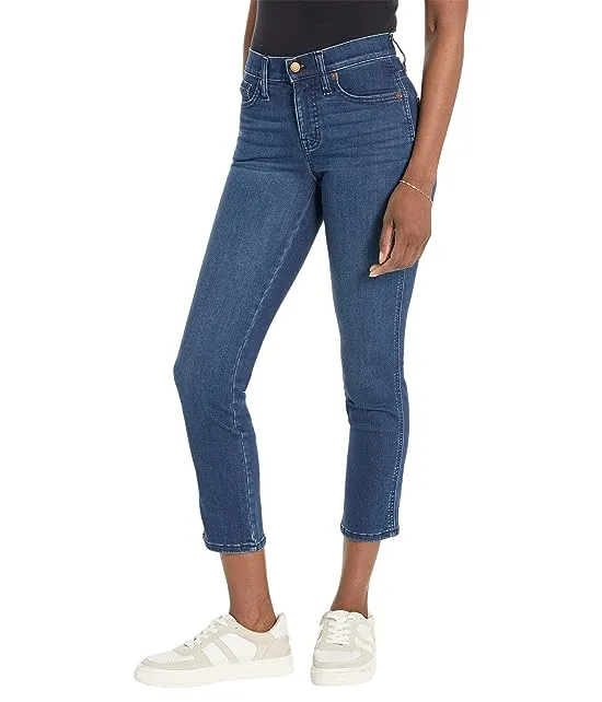 https://images.styletyx.com/images/curvy-mid-rise-stovepipe-jeans-in-dahill-wash-madewell-16573508_1.webp