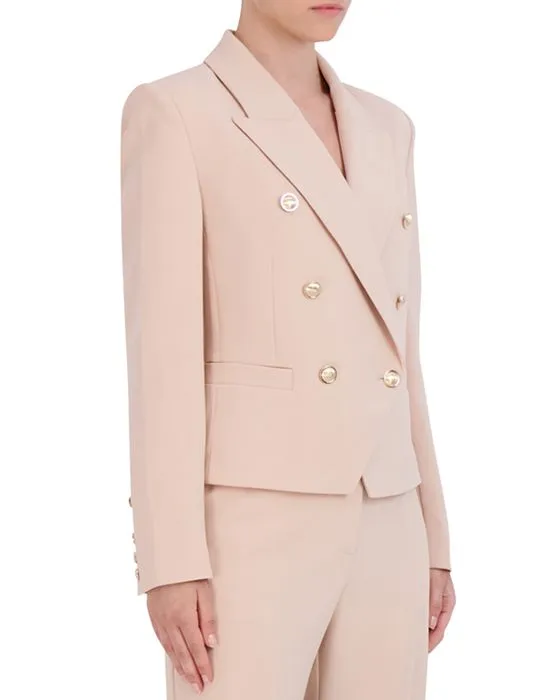 https://images.styletyx.com/images/double-breasted-blazer-bcbgmaxazria-13215134_3.webp