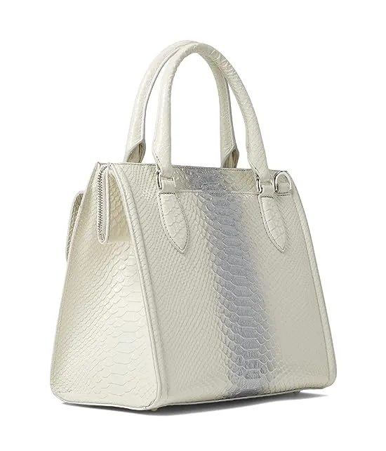 https://images.styletyx.com/images/harkness-small-caroline-satchel-brahmin-13011665_2.webp