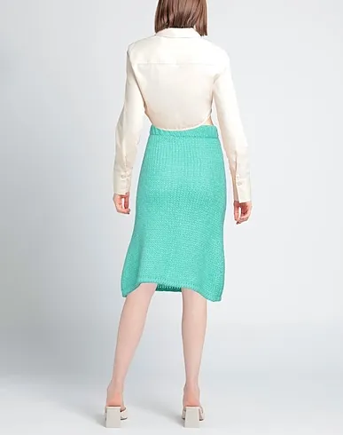 https://images.styletyx.com/images/light-green-knitted-midi-skirt-laneus-1223386930_3.webp