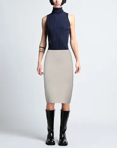 https://images.styletyx.com/images/light-grey-knitted-midi-skirt-d-exterior-1223615603_2.webp