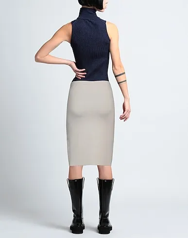 https://images.styletyx.com/images/light-grey-knitted-midi-skirt-d-exterior-1223615603_3.webp