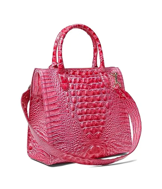 https://images.styletyx.com/images/melbourne-caroline-satchel-brahmin-13398432_2.webp