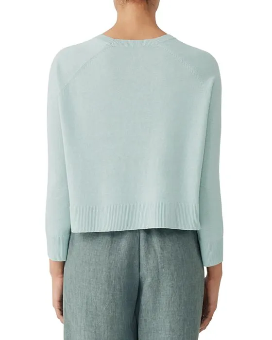 https://images.styletyx.com/images/raglan-sleeve-sweater-eileen-fisher-13448945_2.webp