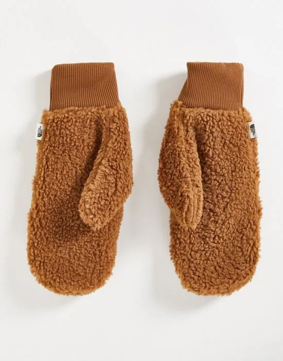 https://images.styletyx.com/images/ridge-fleece-mittens-in-brown-the-north-face-2809672_2.webp
