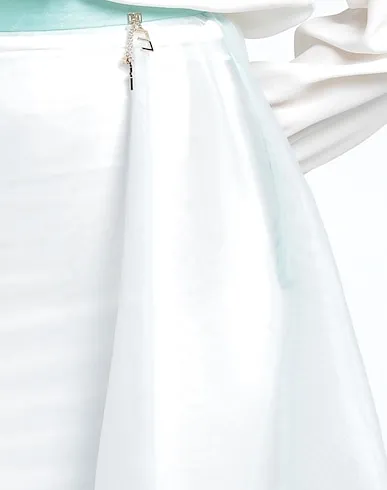 https://images.styletyx.com/images/sky-blue-organza-midi-skirt-elisabetta-franchi-663469777_4.webp