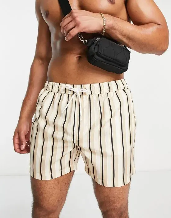 https://images.styletyx.com/images/swim-shorts-in-gray-stripe-brave-soul-13706821_1.webp
