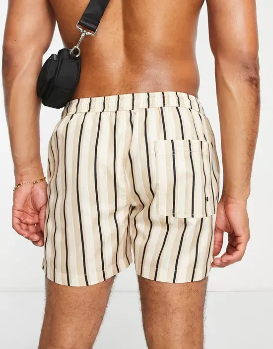 https://images.styletyx.com/images/swim-shorts-in-gray-stripe-brave-soul-13706821_2.webp