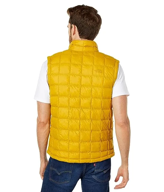 https://images.styletyx.com/images/thermoball-eco-vest-the-north-face-2398878_2.webp
