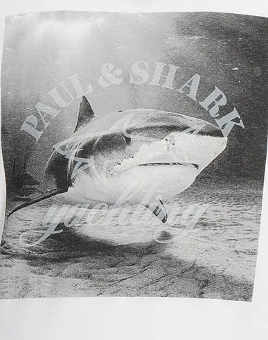 https://images.styletyx.com/images/white-jersey-t-shirt-paul-shark-1551465328_4.webp