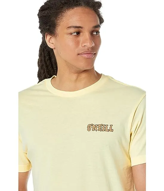 https://images.styletyx.com/images/wonderland-short-sleeve-tee-o-neill-2120320_3.webp