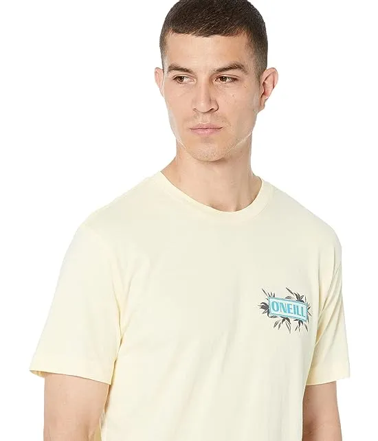 https://images.styletyx.com/images/yabro-short-sleeve-tee-o-neill-2120307_3.webp